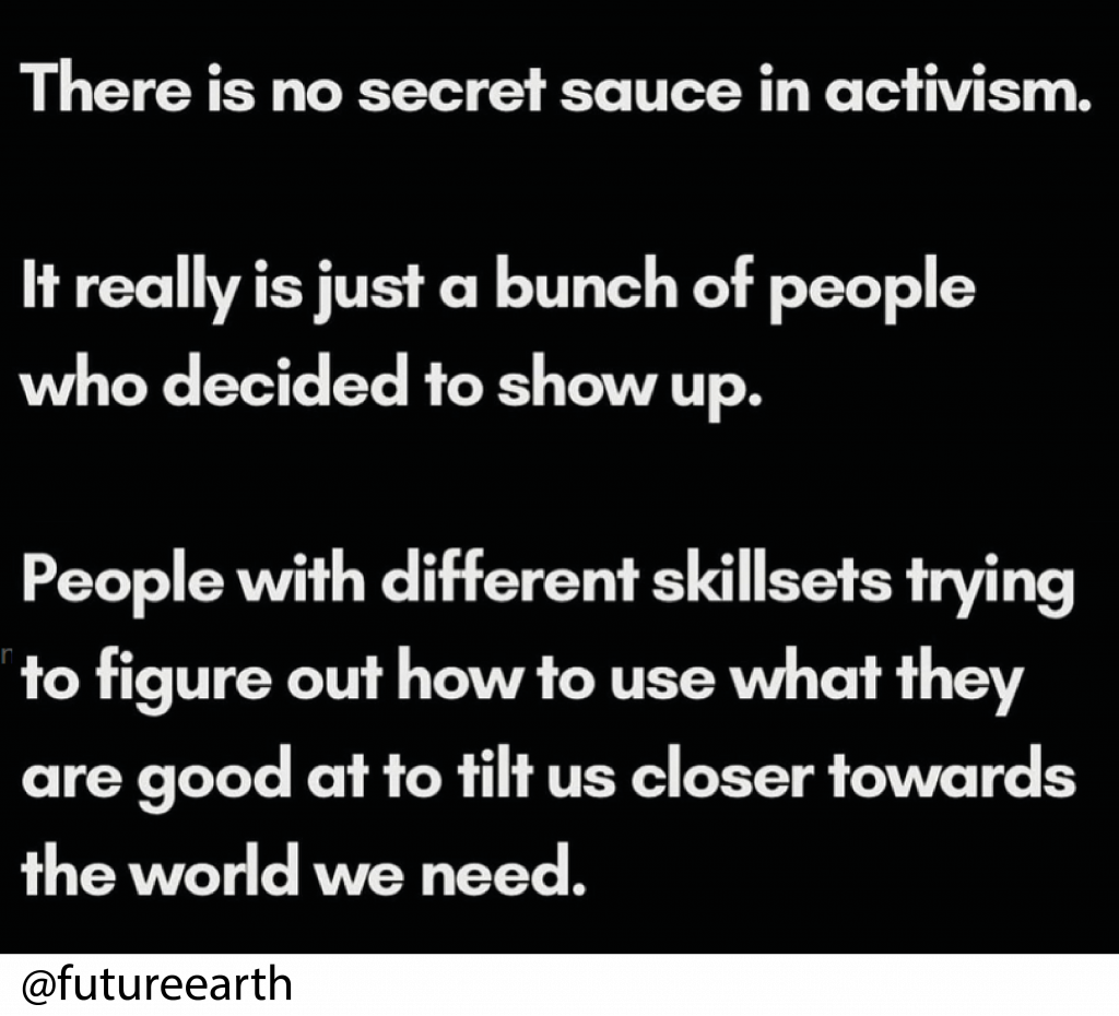 A white text on black background: There is no secret sauce in activism. It really is just a bunch of people who decided to show up. People with different skillsets trying to figure out how to use what they are good at to tilt us closer towards the world we need.